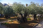Jerusalem 029