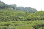 Malaysia 2017 k091