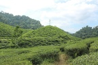 Malaysia 2017 k092