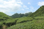Malaysia 2017 k093