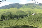 Malaysia 2017 k105