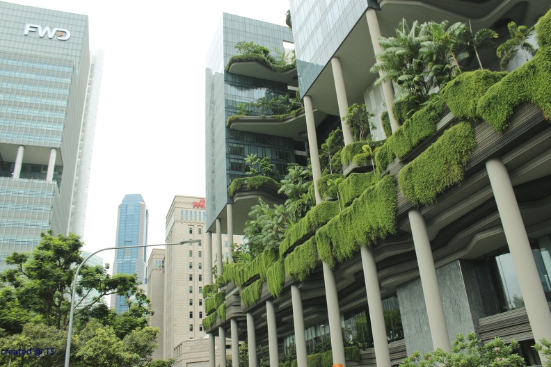 Singapur_2019_k104.jpg