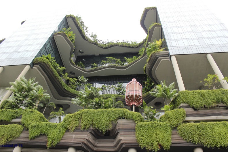 Singapur_2019_k105.jpg