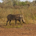 29Dez2011 0144