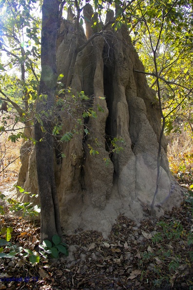 29Dez2011_0146.jpg