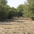 29Dez2011 0153