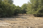 29Dez2011 0153