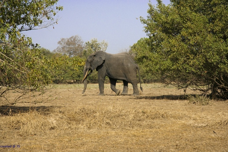 29Dez2011_0156.jpg