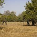 29Dez2011 0158