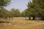 29Dez2011 0158