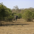 29Dez2011 0163