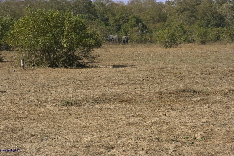 29Dez2011_0170.jpg