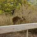 29Dez2011 0177