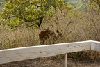 29Dez2011 0177