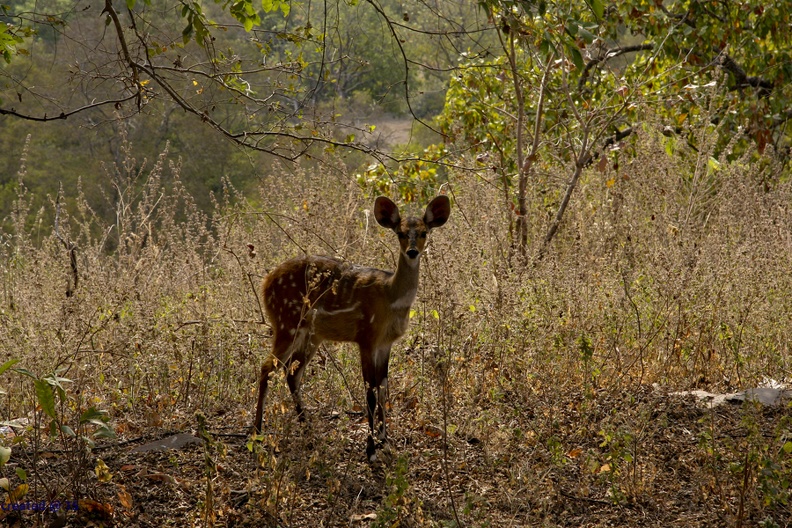 29Dez2011_0194.jpg