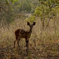 29Dez2011 0194