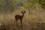 29Dez2011 0194