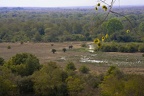 29Dez2011 0195