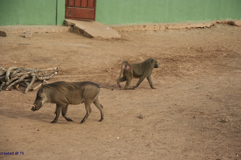 29Dez2011_0204.jpg