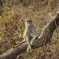 29Dez2011 0209