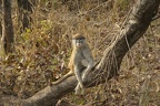 29Dez2011 0209