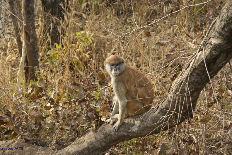 29Dez2011_0210.jpg