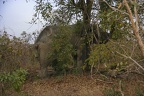 29Dez2011 0222