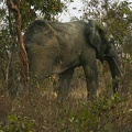 29Dez2011 0229