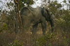 29Dez2011 0229