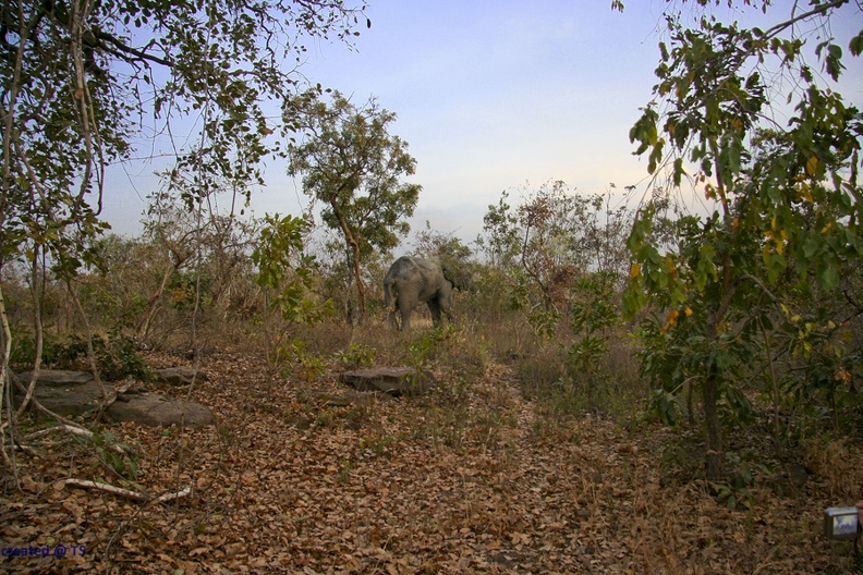 29Dez2011_0233.jpg
