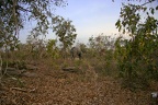 29Dez2011 0233