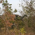 29Dez2011 0238