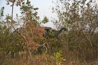 29Dez2011 0238