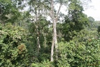 Ghana 2011 020