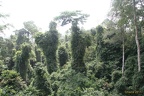 Ghana 2011 023