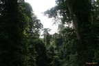 Ghana 2011 025