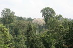 Ghana 2011 027