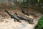 Ghana 2011 028