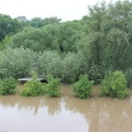 hochwasser2013 023