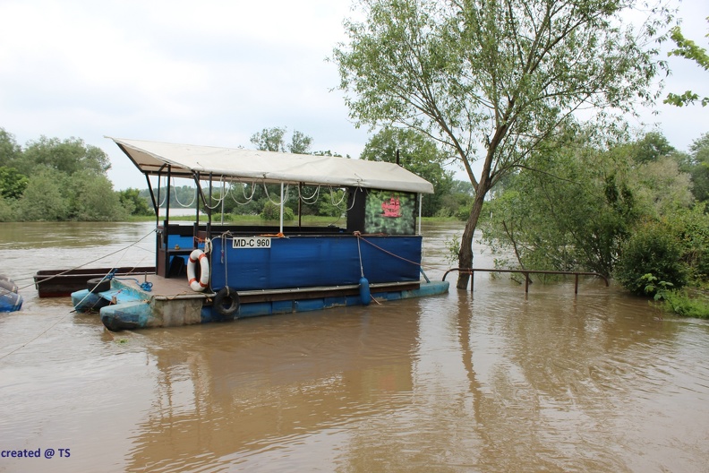 hochwasser2013_047.jpg