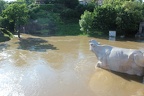 hochwasser2013 059