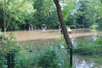 hochwasser2013 073