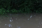 hochwasser2013 076