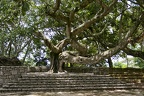 Tana 2007 047