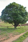 mahajanga 07