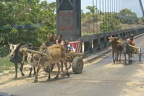 mahajanga 25
