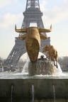 Paris Gadafi 16