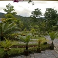 Ranomafana 04