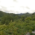 Ranomafana 06