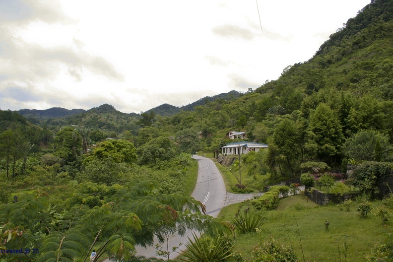 Ranomafana_07.jpg
